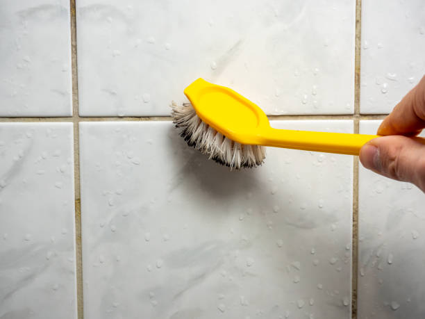  Tecumseh, OK Mold Removal Pros