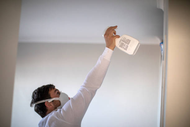 Best Emergency Mold Removal  in Tecumseh, OK