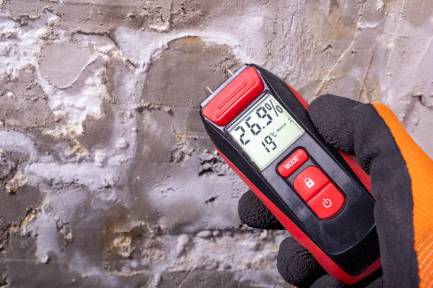 Best Certified Mold Removal  in Tecumseh, OK