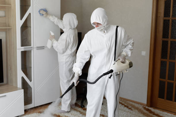 Best Attic Mold Removal  in Tecumseh, OK