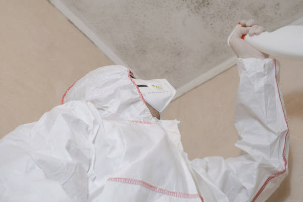 Best Professional Mold Removal  in Tecumseh, OK