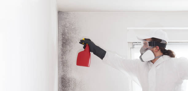 Best Mold Testing  in Tecumseh, OK